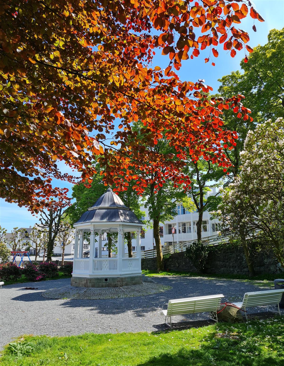 Paviljong og trær i Kopervik park - Klikk for stort bilde